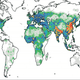 Image for article titled Smog Causes More Than 3 Million Premature Deaths a Year Worldwide